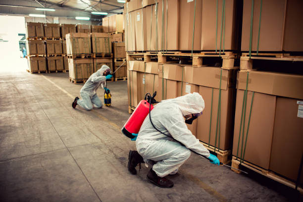 Best Emergency Pest Control  in Hillsville, VA