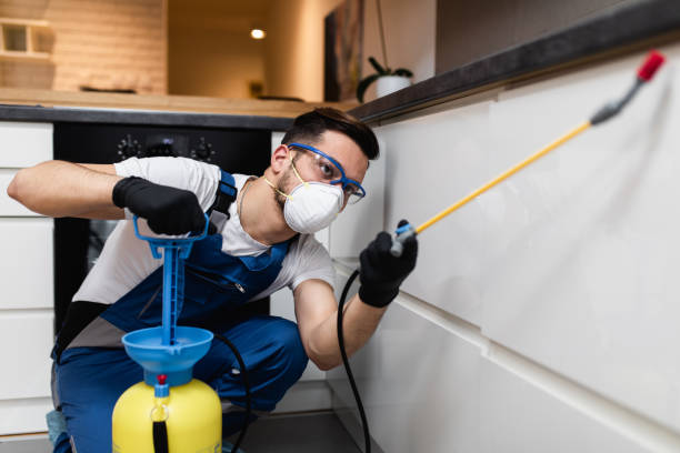 Best Rat Extermination Near Me  in Hillsville, VA