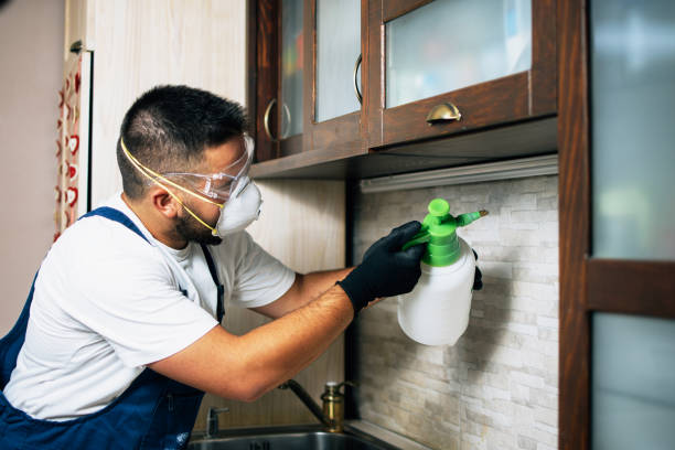 Best Mosquito Control Services  in Hillsville, VA