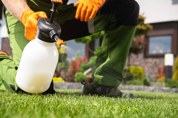 Professional Pest Control in Hillsville, VA