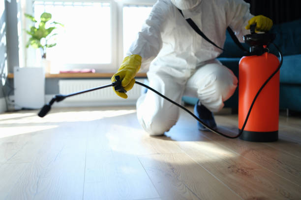 Best Flea Control Services  in Hillsville, VA