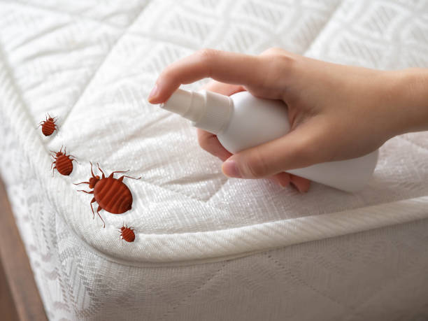  Hillsville, VA Pest Control Pros