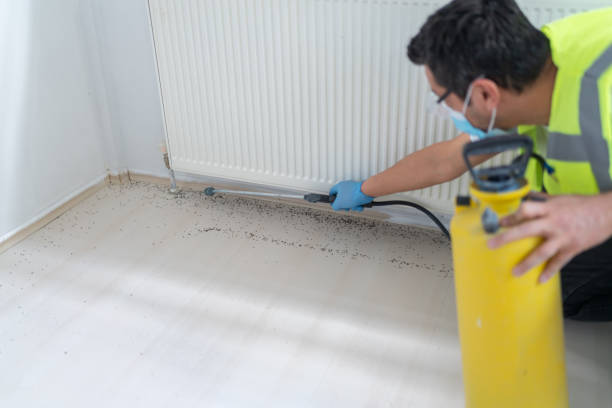 Best Local Pest Control Services  in Hillsville, VA