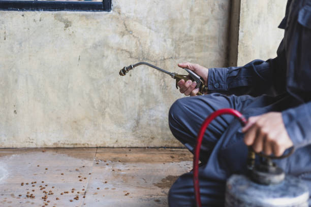 Best Best Pest Control Companies  in Hillsville, VA