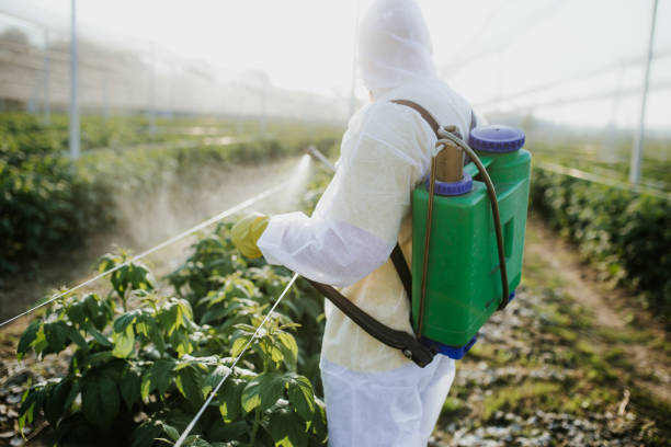 Best Affordable Pest Control Services  in Hillsville, VA